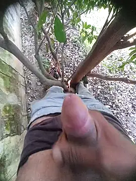 Desi Horny Boys online show from November 2025 05:50:01 AM