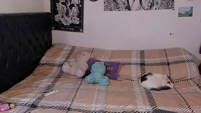 chloe kisses online show from September 2025 11:49:01 AM