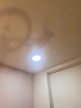 Bella  Wood online show from March 2026 08:46:01 PM