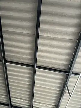 Elian savoy online show from December 2025 08:08:02 PM