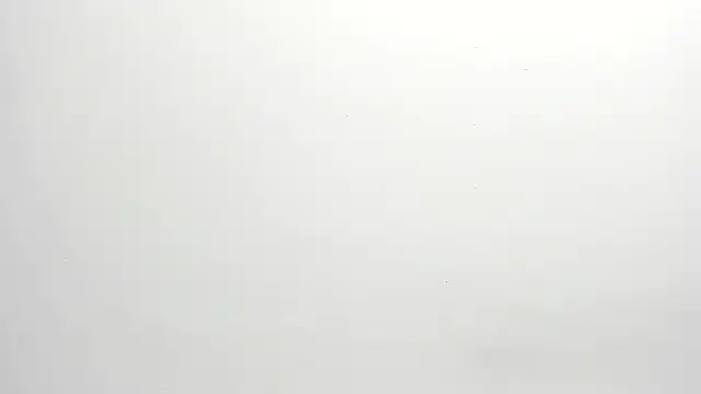 ximena vasquez8 online show from December 2025 03:00:01 AM