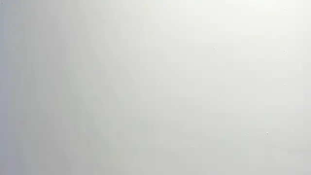 ximena vasquez8 online show from January 2026 03:11:02 AM