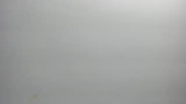 ximena vasquez8 online show from February 2026 03:08:01 AM