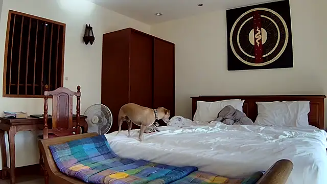 Fate Fletcher online show from September 2025 09:15:01 AM