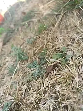 mkallu1995 online show from March 2026 06:10:02 AM