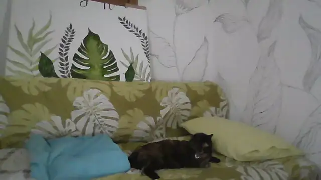 Snapshot of Catty_Lady chatting on September 2025 06:36:01 PM Catty Lady online show from September 2025 06:36:01 PM