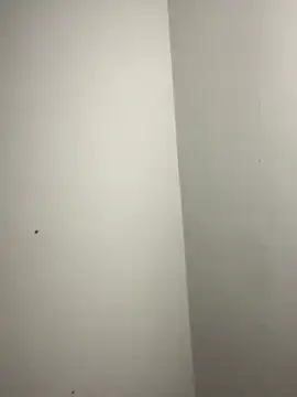 ElaRose 12 online show from February 2026 11:15:02 PM