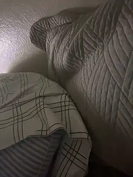 Snapshot of Ferley3123 chatting on March 2026 06:54:02 AM Ferley3123 online show from March 2026 06:54:02 AM