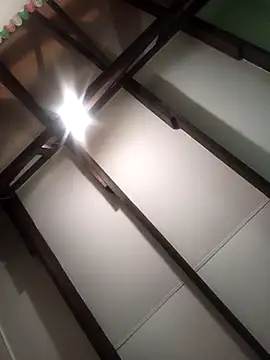 Snapshot of Venda-boi chatting on October 2025 10:35:02 PM Venda-boi online show from October 2025 10:35:02 PM