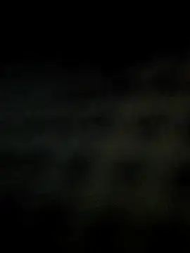 himNIGuys online show from February 2026 06:19:02 AM