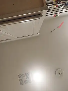 himNIGuys online show from March 2026 06:36:01 AM