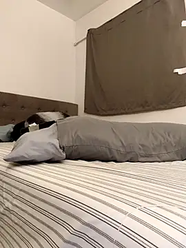 himNIGuys online show from February 2026 01:48:02 AM