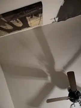 himNIGuys online show from November 2025 10:15:02 AM