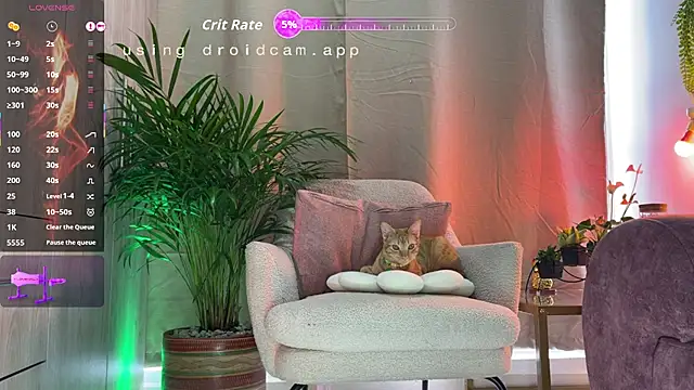 jhosepMoreno online show from February 2026 07:58:01 PM