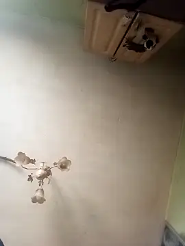 ToughDraft14 online show from April 2026 07:15:01 AM