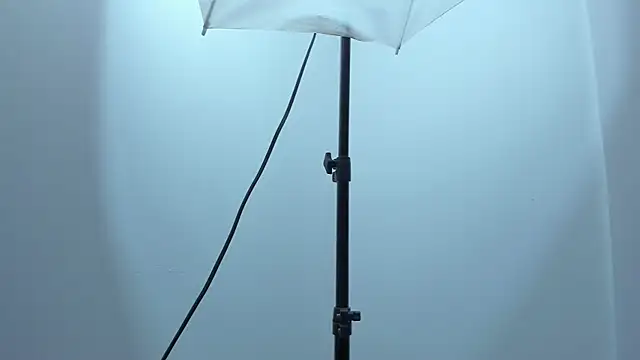 violet taylor  online show from December 2025 02:16:02 AM