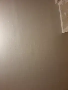 Snapshot of gazb90 chatting on November 2025 11:41:01 PM gazb90 online show from November 2025 11:41:01 PM