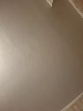 gazb90 online show from April 2026 08:15:02 PM