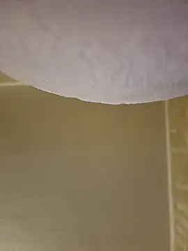 gazb90 online show from February 2026 05:10:02 PM