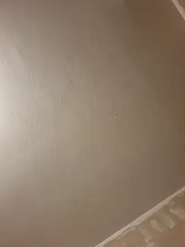 gazb90 online show from January 2026 08:12:02 PM