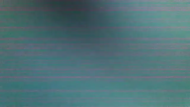 Snapshot of Cock4LadiesONLY chatting on July 2026 03:03:02 PM Cock4LadiesONLY online show from July 2026 03:03:02 PM