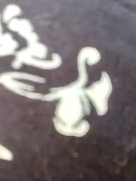 papukurty online show from February 2026 12:18:02 PM