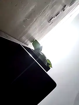 Snapshot of papukurty chatting on March 2026 01:50:01 AM papukurty online show from March 2026 01:50:01 AM