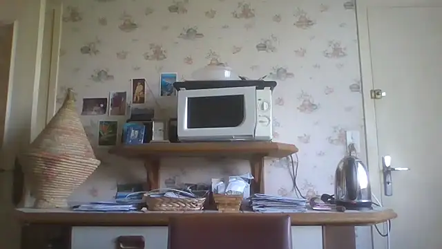 gegevincent online show from April 2026 11:27:01 AM