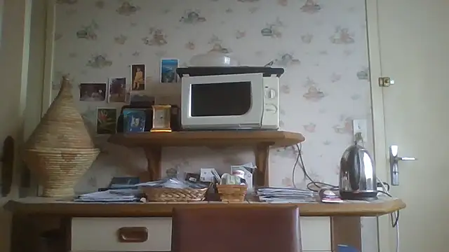 gegevincent online show from January 2026 02:09:01 PM