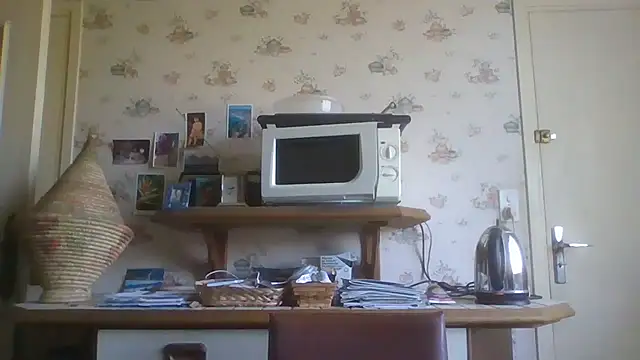 Snapshot of gegevincent chatting on July 2026 12:53:02 PM gegevincent online show from July 2026 12:53:02 PM