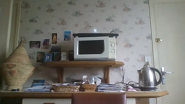 gegevincent online show from May 2026 08:42:02 AM