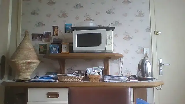 gegevincent online show from February 2026 02:14:01 PM