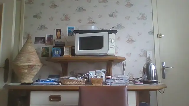 gegevincent online show from February 2026 01:35:02 PM