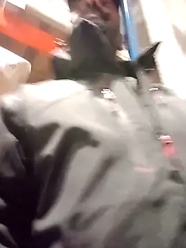 frenchblackc31 online show from December 2025 03:14:02 PM