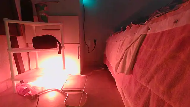 SatiroyNinfa online show from March 2026 10:33:01 PM