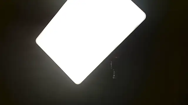 Miaxfox online show from March 2026 03:10:02 AM