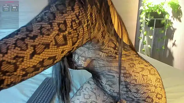 alexamonroe  online show from December 2025 09:15:02 PM