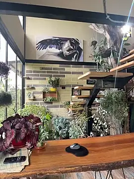 Rose-andres online show from November 2025 08:42:02 PM