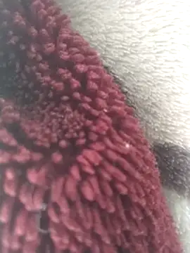 yaraa49 online show from December 2025 05:55:02 AM