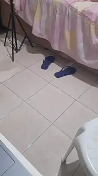 Urso Nerd online show from December 2025 03:06:02 AM