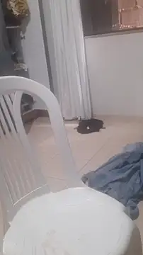 Urso Nerd online show from March 2026 03:51:01 PM