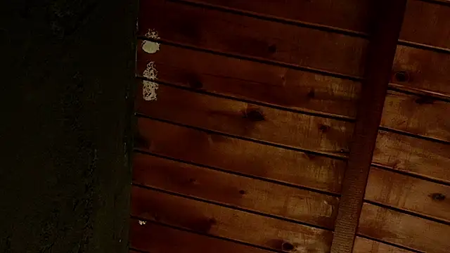 Taurito    online show from November 2025 09:37:01 PM