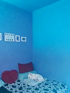 Noty bcn online show from November 2025 12:04:01 AM