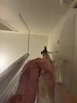 babykalirose online show from March 2026 01:05:02 AM