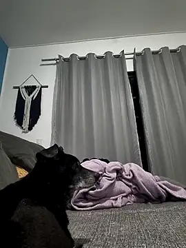 mikeara90 online show from October 2025 10:30:01 PM