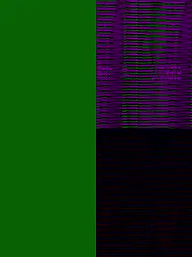 xneko  online show from December 2025 04:34:02 AM