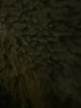 anonimgirl18old online show from February 2026 06:32:02 PM