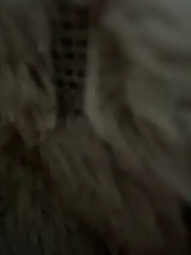 anonimgirl18old online show from February 2026 08:36:02 AM