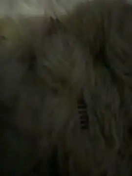 anonimgirl18old online show from March 2026 05:08:01 PM