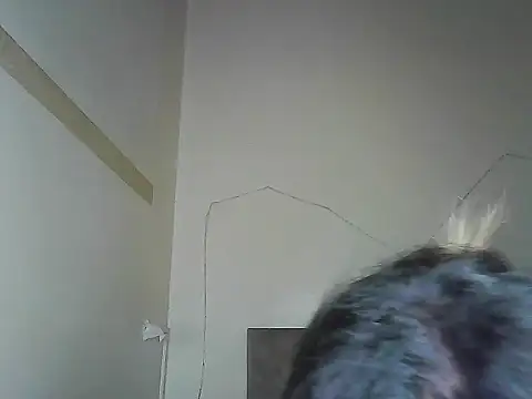 mrlolimirass online show from October 2025 10:13:02 PM